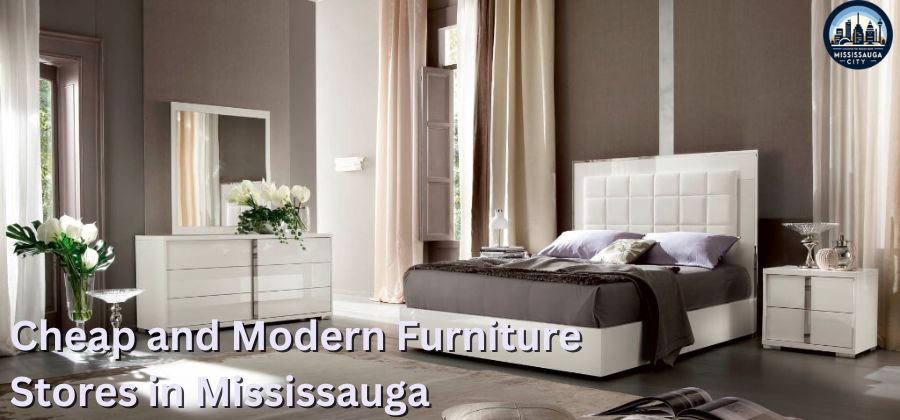 12 Affordable and Modern Furniture Stores in Mississauga