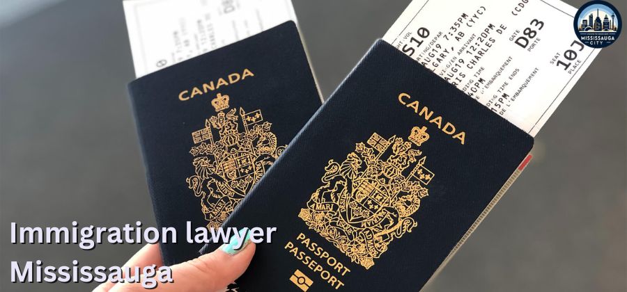 12 Best Immigration Lawyers in Mississauga