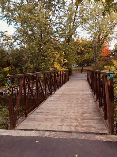 Mississauga Valley Park