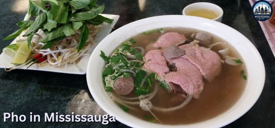 14 Best Pho Restaurants in Mississauga